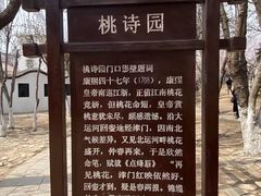 -桃花堤公园