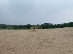 -东郊湿地公园