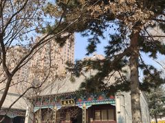 -护国法轮寺
