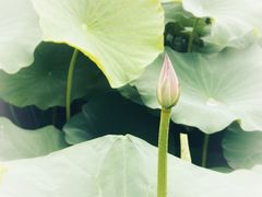 -梁鸿国家湿地公园