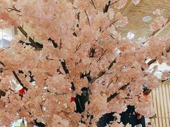 -樱之味精致料理融合餐厅