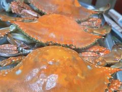 -威海海鲜王(窑头路店)