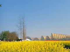 -中国天府农业博览园