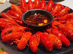 -一棠龙虾•王牌虾球(恒隆广场店)