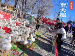 -辛庄国际文化艺术区