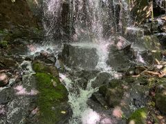 -本溪汤沟绿石谷森林公园