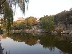-文瀛公园