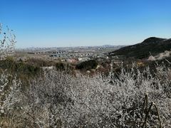 -北京西山国家森林公园