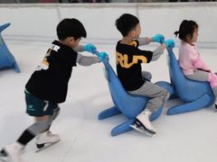 -TheRink大零溜冰场(IFS国金中心店)