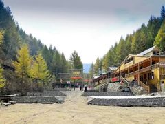 -苏木山森林公园