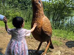 -苏州太湖国家湿地公园