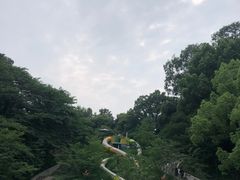 -杭州少年儿童公园