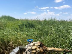 -哈密雅丹大海道景区