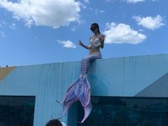 -秦皇岛乐岛海洋王国