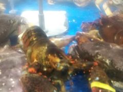 -盒马鲜生(杭州运河上街店)