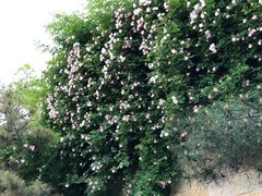 -西安华清御汤酒店