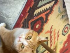 -Fun Job Art 零基础油画国画DIY画室(望京店)