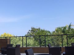 -逸廊大堂吧(三亚海棠湾万丽度假酒店)