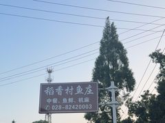 -稻香村鱼庄