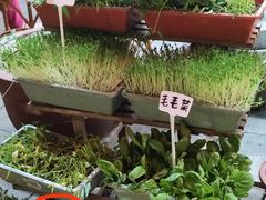 -赵美丽·重庆社区火锅·直营店(火车东站·中豪国际店)