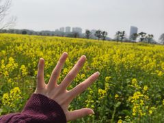 -青龙山国家森林公园