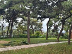 -青岛第二海水浴场