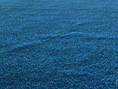 -农夫大盘鸡(经八路总店)