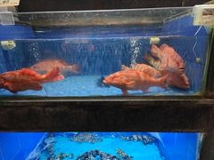 -徐记海鲜(陕西历史博物馆|明德门店)