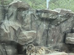 -青藏高原野生动物园