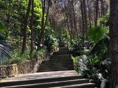 -铁山坪森林公园