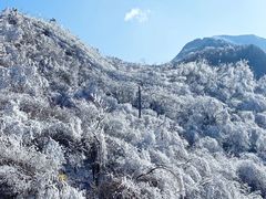-秦岭风景区