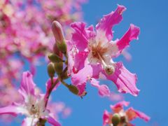 -风云岭森林公园