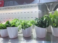 -成都玉林串串香(世纪港湾店)