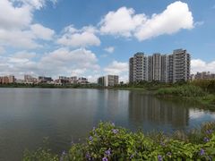 -广东花都湖国家湿地公园