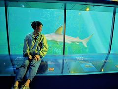 -香港海洋公园