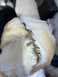 -DL HAIR SALON
