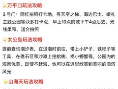 -日照海滨国家森林公园