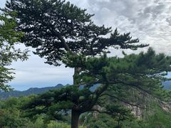 -圣莲山风景区