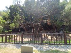 -草庵摩尼教遗址公园