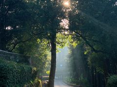-莫干山风景区