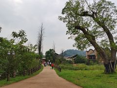 -道林古镇