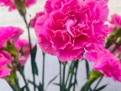 -来之顺海鲜菜馆·青岛菜(栈桥店)