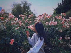 -人民公园(罗湖区)