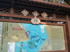 -白洋淀景区