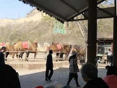 -古柏渡飞黄旅游区