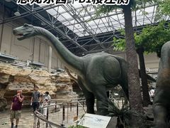 -国家自然博物馆