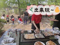 -上海海湾国家森林公园