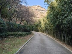 -石老人观光园
