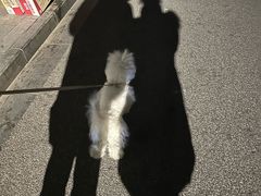 -上海市敬业中学