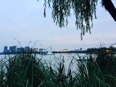 -暨阳湖生态园